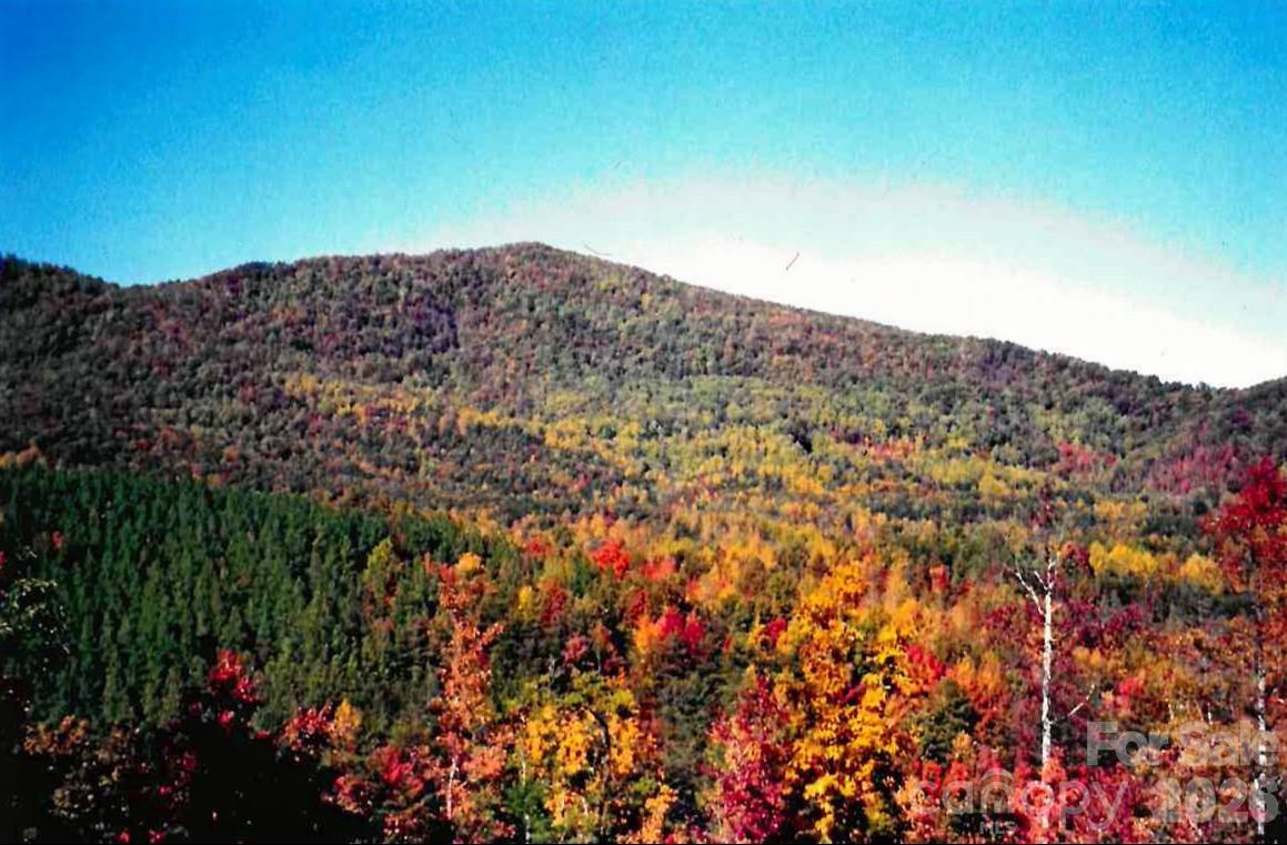 0 Froggyville Ln Mill Spring Mill Spring, NC 28756 - Photo 2 of 14