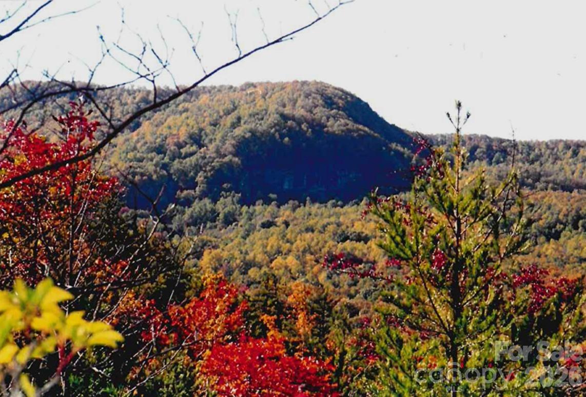 0 Froggyville Ln Mill Spring Mill Spring, NC 28756 - Photo 4 of 14