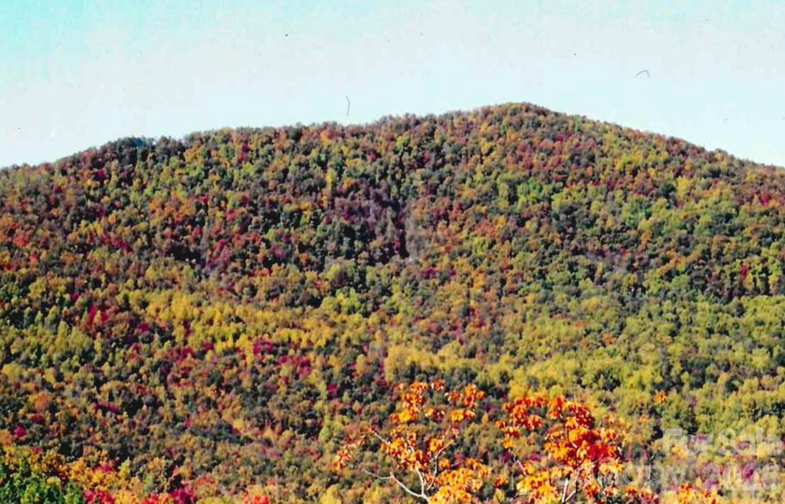 0 Froggyville Ln Mill Spring Mill Spring, NC 28756 - Photo 5 of 14