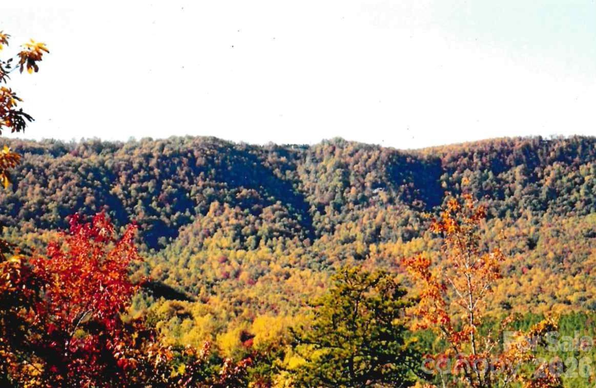 0 Froggyville Ln Mill Spring Mill Spring, NC 28756 - Photo 6 of 14