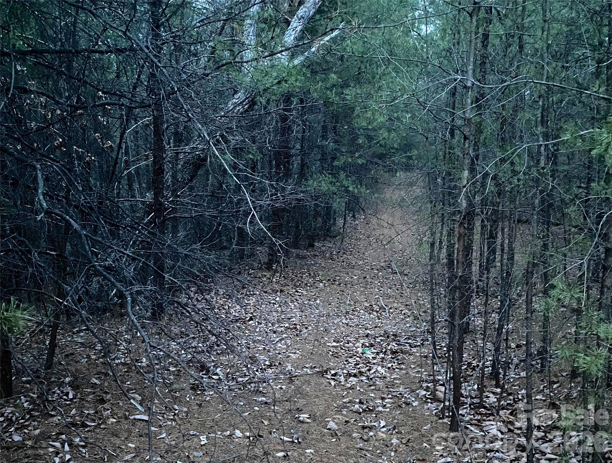 0 Froggyville Ln Mill Spring Mill Spring, NC 28756 - Photo 7 of 14