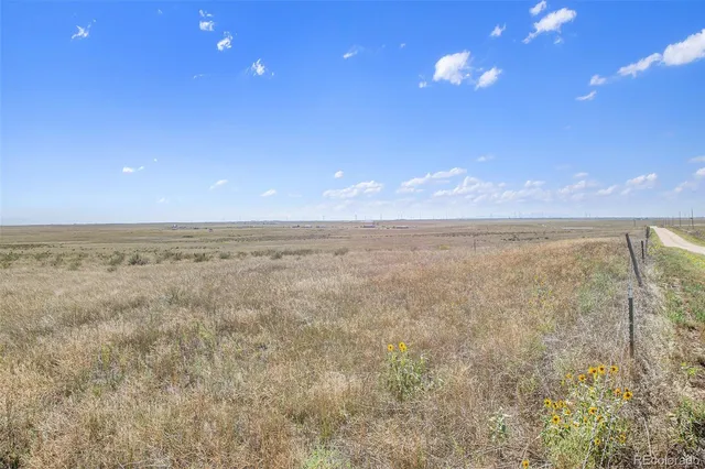 a view of an ocean in a field