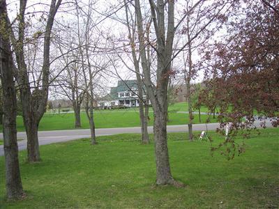 11331 Baldwin Road Bridgman, MI 49106 - Photo 5 of 10 Additional Photo
