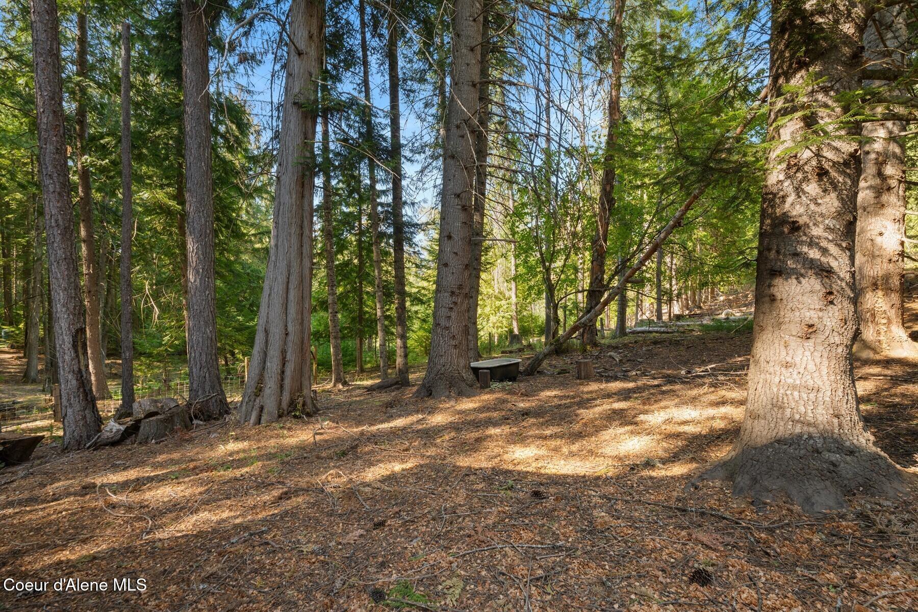 93 Broten Way Sagle, ID 83860 - Photo 52 of 67 .