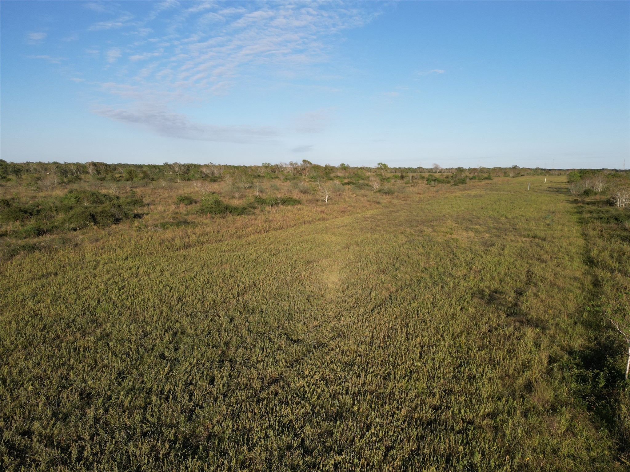 0 County Road 220 Angleton, TX 77515 - Photo 14 of 22