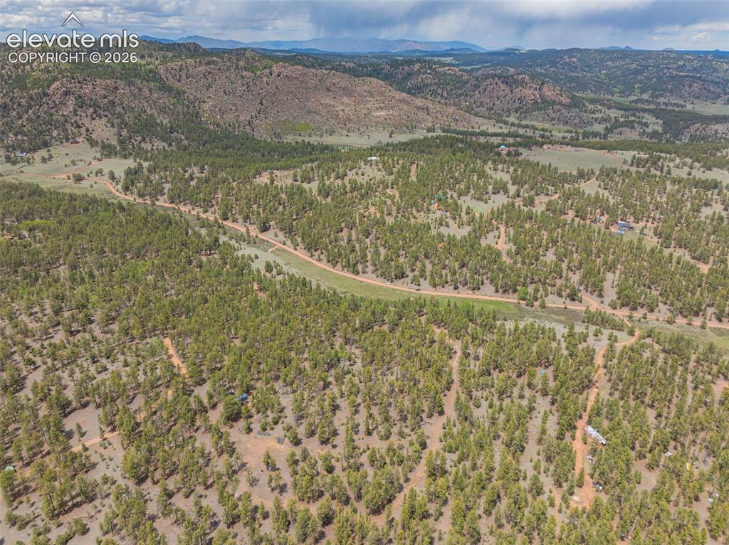 4250 Doe Valley Road Guffey, CO 80820 - Photo 9 of 35