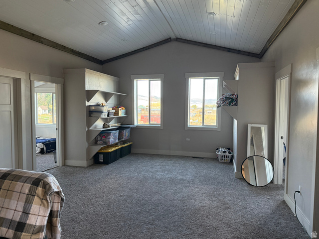 1972 Lanark Road Montpelier, ID 83254 - Photo 22 of 51 Gallery Image 22