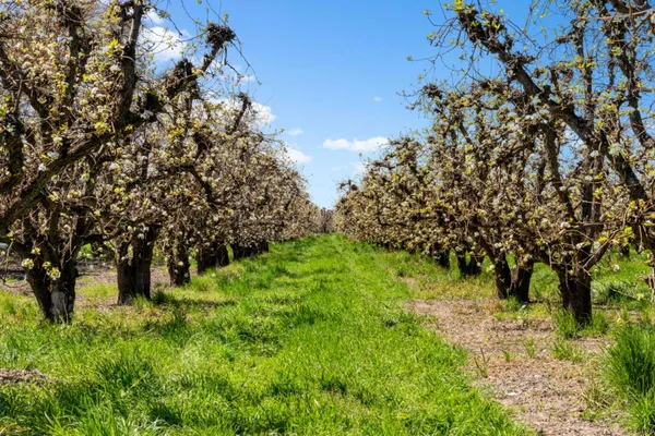 $1,080,000 | 14268 Highway 160, Walnut Grove, CA 95690