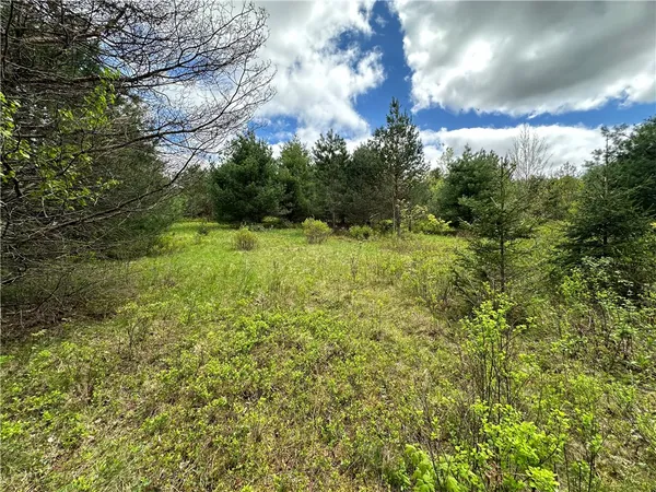 $40,000 | 0 Pine Tree Road, New Berlin, NY 13411