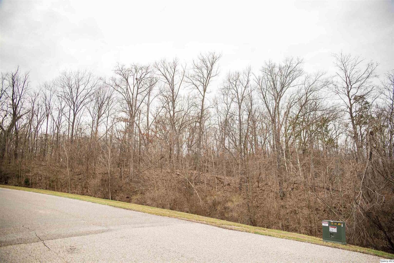 Se Sec 21 2s8w 3.139 Quincy, IL 62305 - Photo 1 of 2 a view of a road from a window