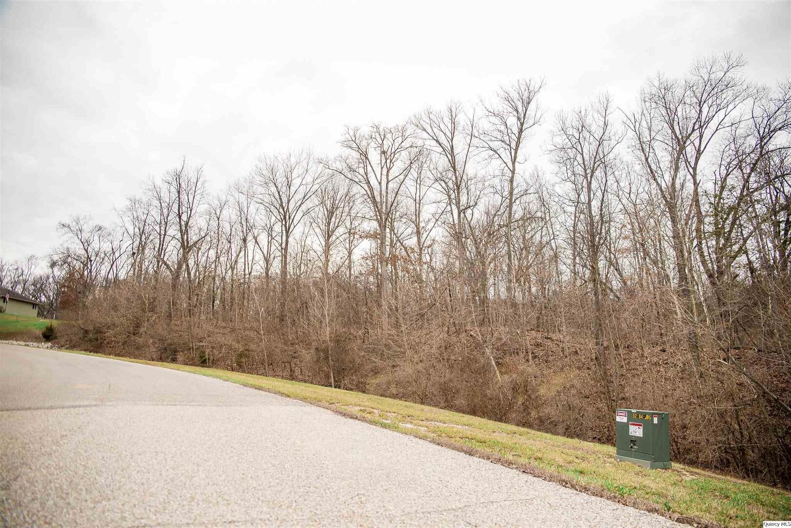 Se Sec 21 2s8w 3.139 Quincy, IL 62305 - Photo 2 of 2 a view of a road with trees in the background