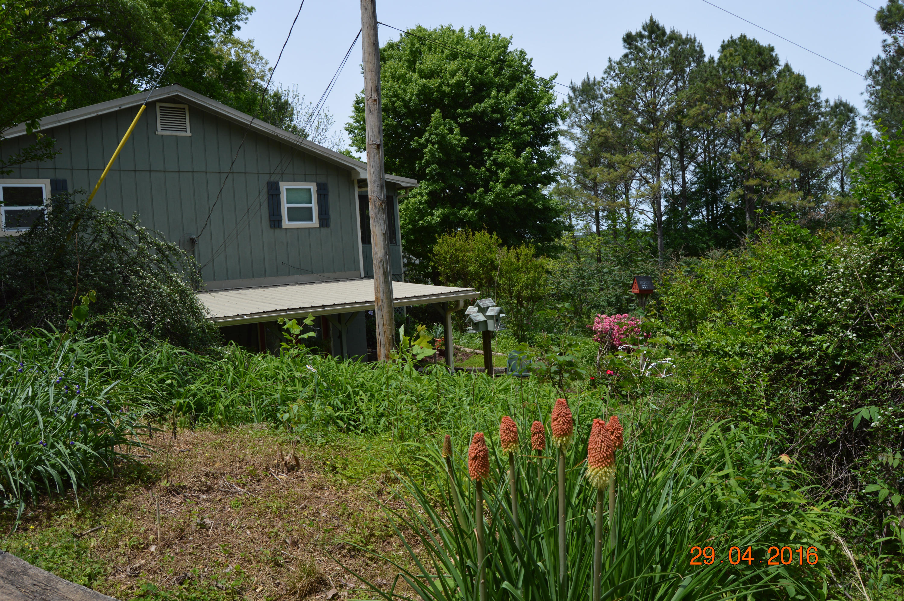 271 County Road 38 Riceville, TN 37370 - Photo 14 of 40 kathy hicks (28)