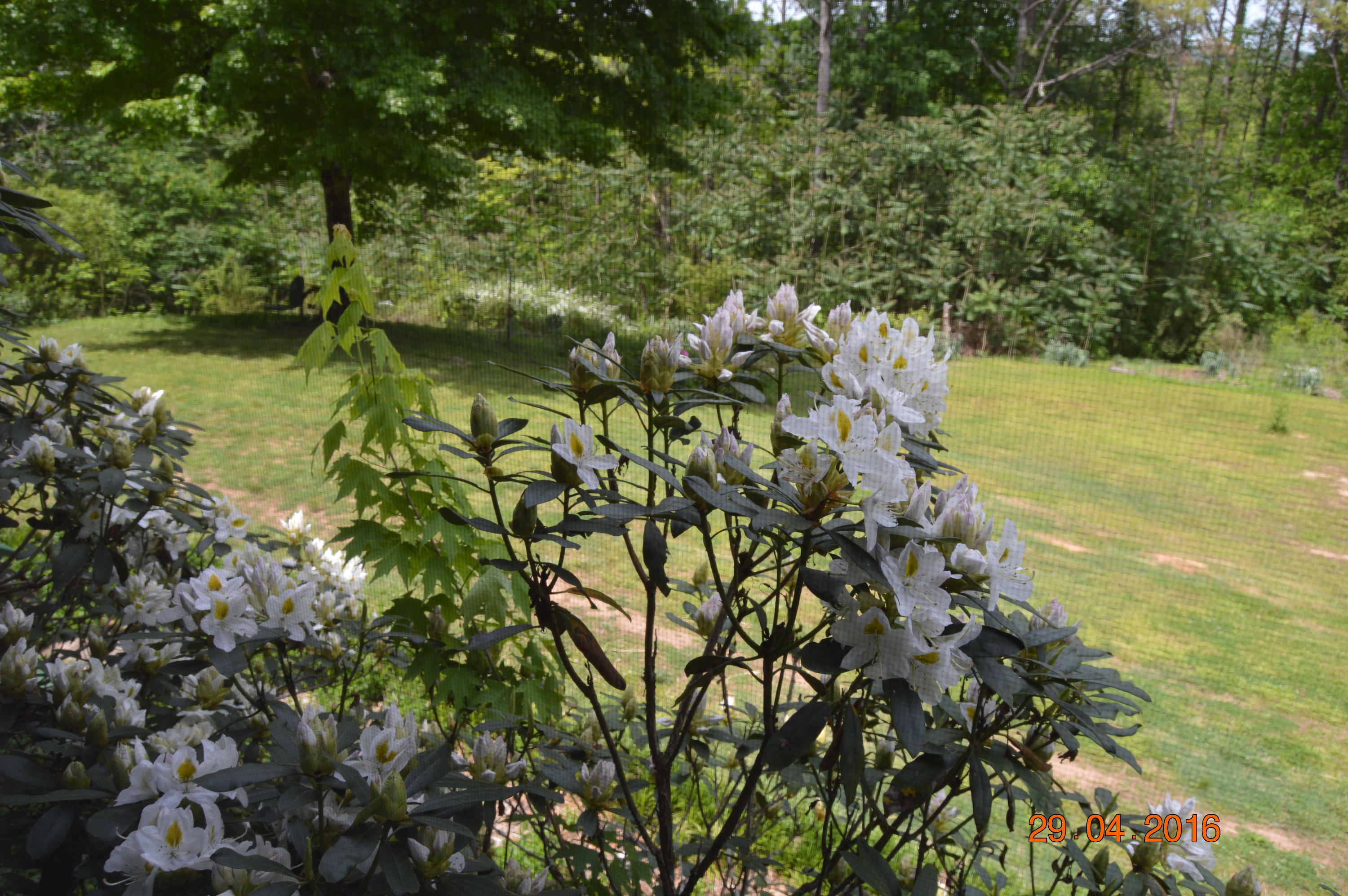 271 County Road 38 Riceville, TN 37370 - Photo 40 of 40 kathy hicks (69)
