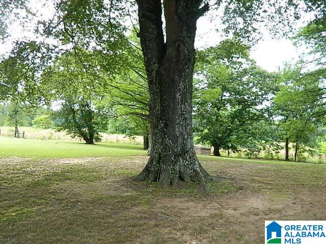 9509 Bankston Road Dora, AL 35062 - Photo 7 of 35 Gallery Image 7