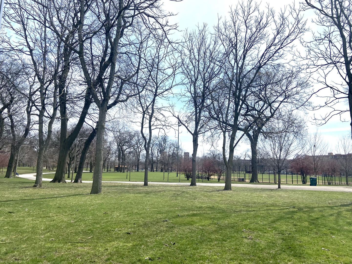 3638 South Western Avenue, Unit F Chicago, IL 60632 - Photo 34 of 36 a view of a park with large trees