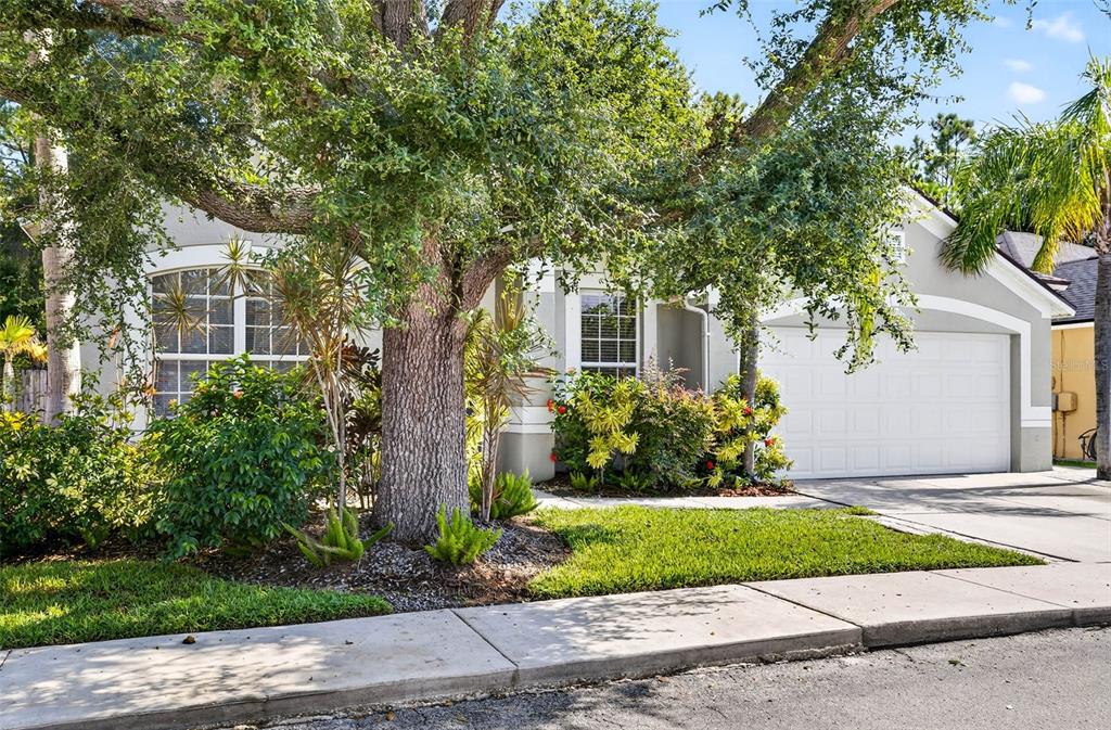 8853 Cypress Hammock Drive Tampa, FL 33614 - Photo 3 of 41 a front view of a house with a yard