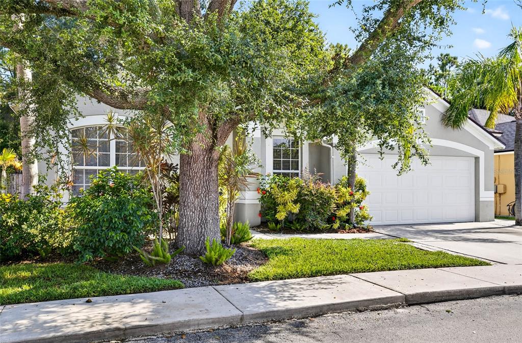 8853 Cypress Hammock Drive Tampa, FL 33614 - Photo 39 of 41 a front view of a house with a yard