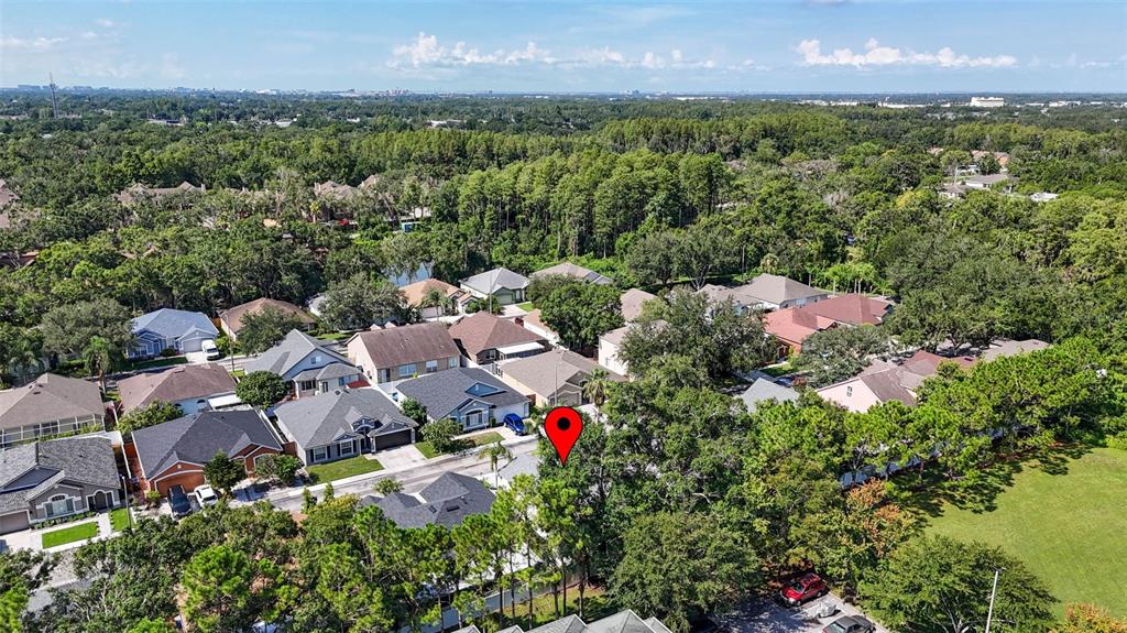 8853 Cypress Hammock Drive Tampa, FL 33614 - Photo 41 of 41 an aerial view of residential houses with outdoor space and trees