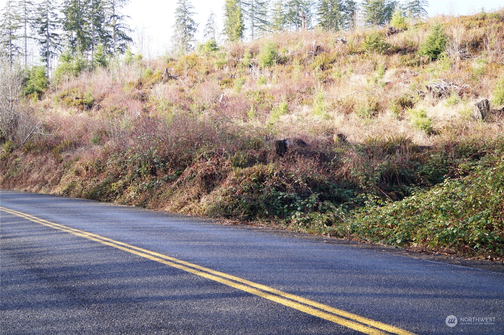 5 Smith Creek Road Raymond, WA 98577 - Photo 12 of 14 Gallery Image 12