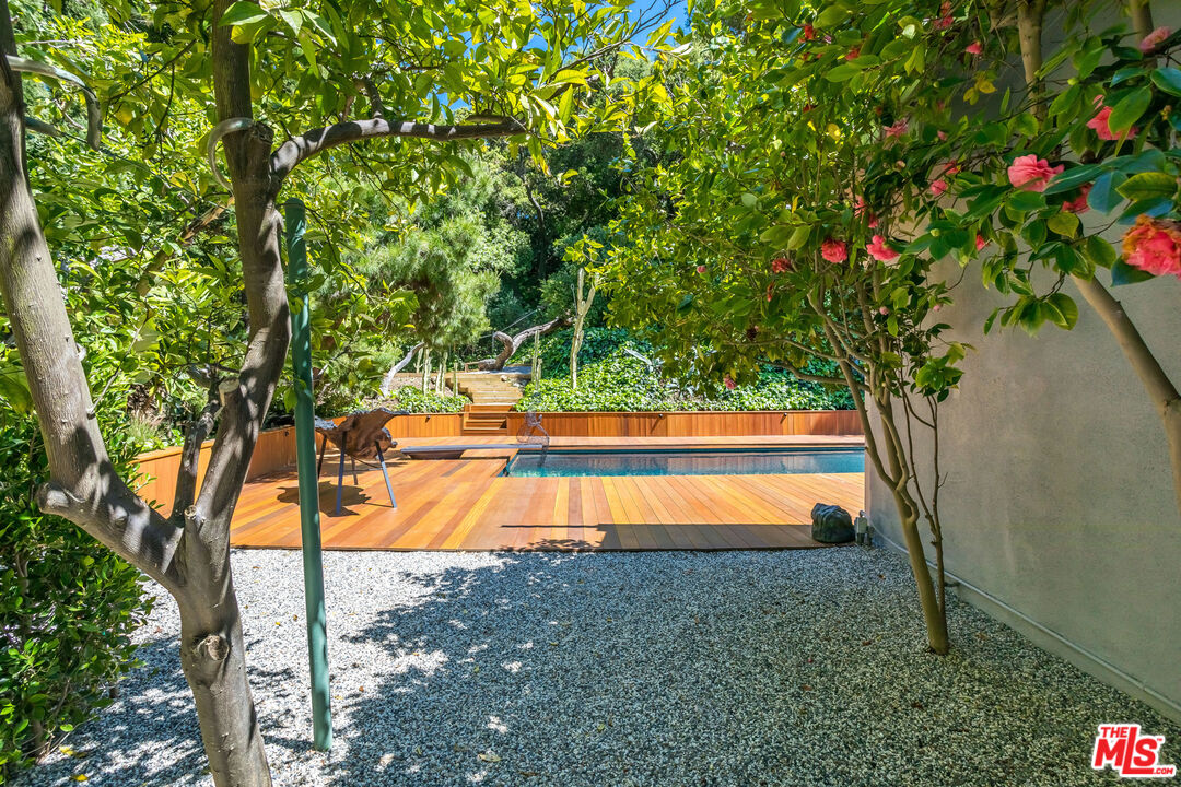 2538 Hutton Drive Beverly Hills, CA 90210 - Photo 59 of 63 a view of a yard with an tree