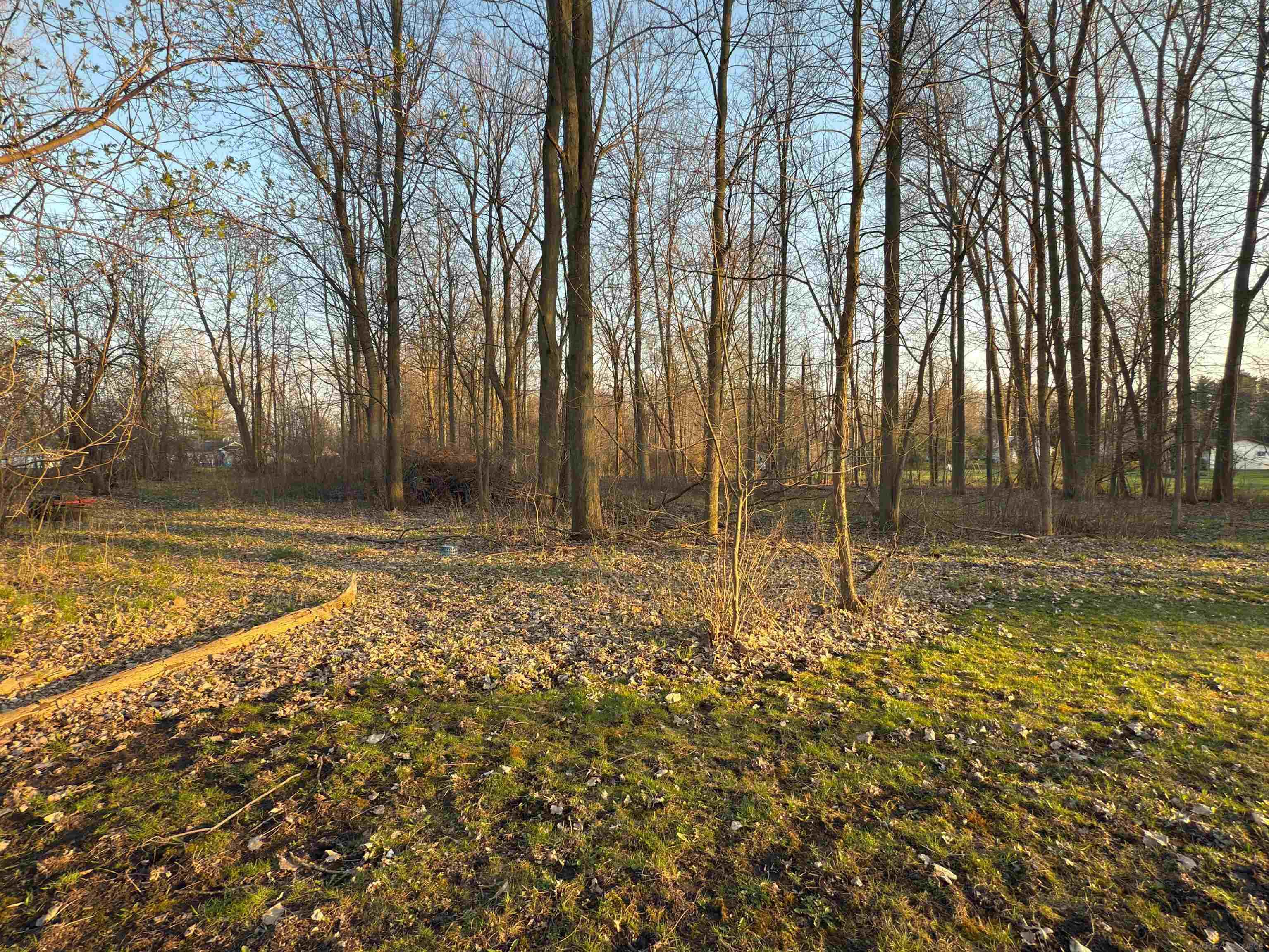 0 Bridgehampton Road Sandusky, MI 48471 - Photo 2 of 6