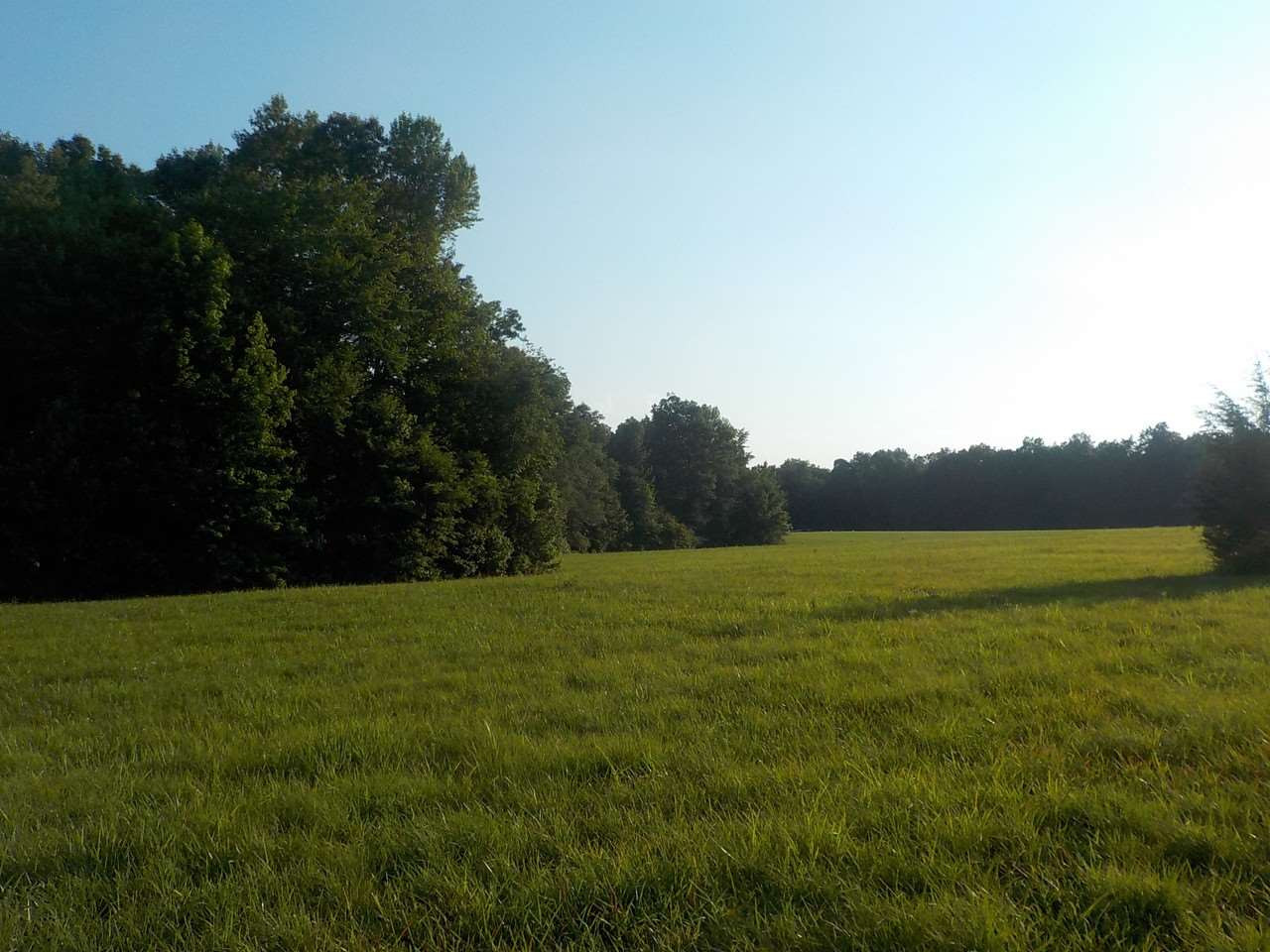Uzzle Road Rougemont, NC 27572 - Photo 4 of 5 Photo 4