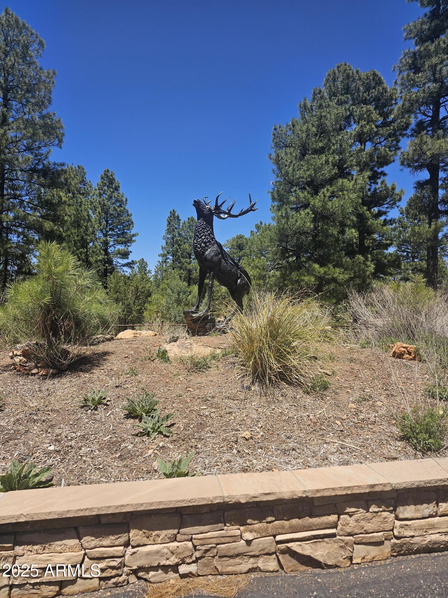 3662 Sunset Ridge Loop, Unit 143 Happy Jack, AZ 86024 - Photo 3 of 8 a view of a yard with a tree