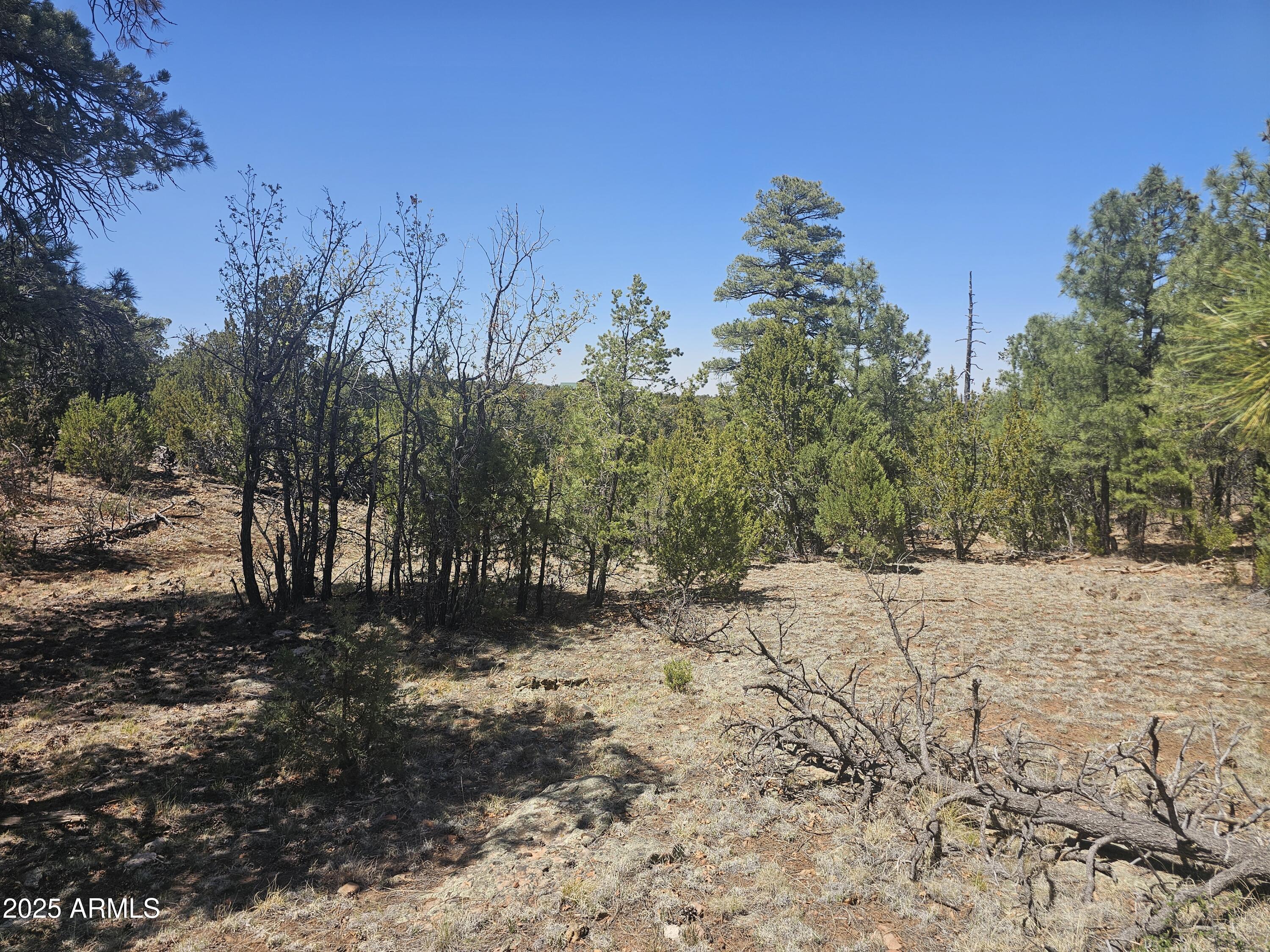3662 Sunset Ridge Loop, Unit 143 Happy Jack, AZ 86024 - Photo 5 of 8 a view of a yard covered in snow