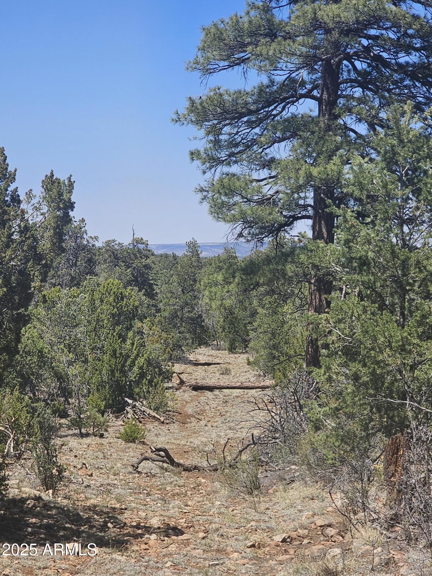 3662 Sunset Ridge Loop, Unit 143 Happy Jack, AZ 86024 - Photo 6 of 8 a lawn chairs and a table with wooden fence