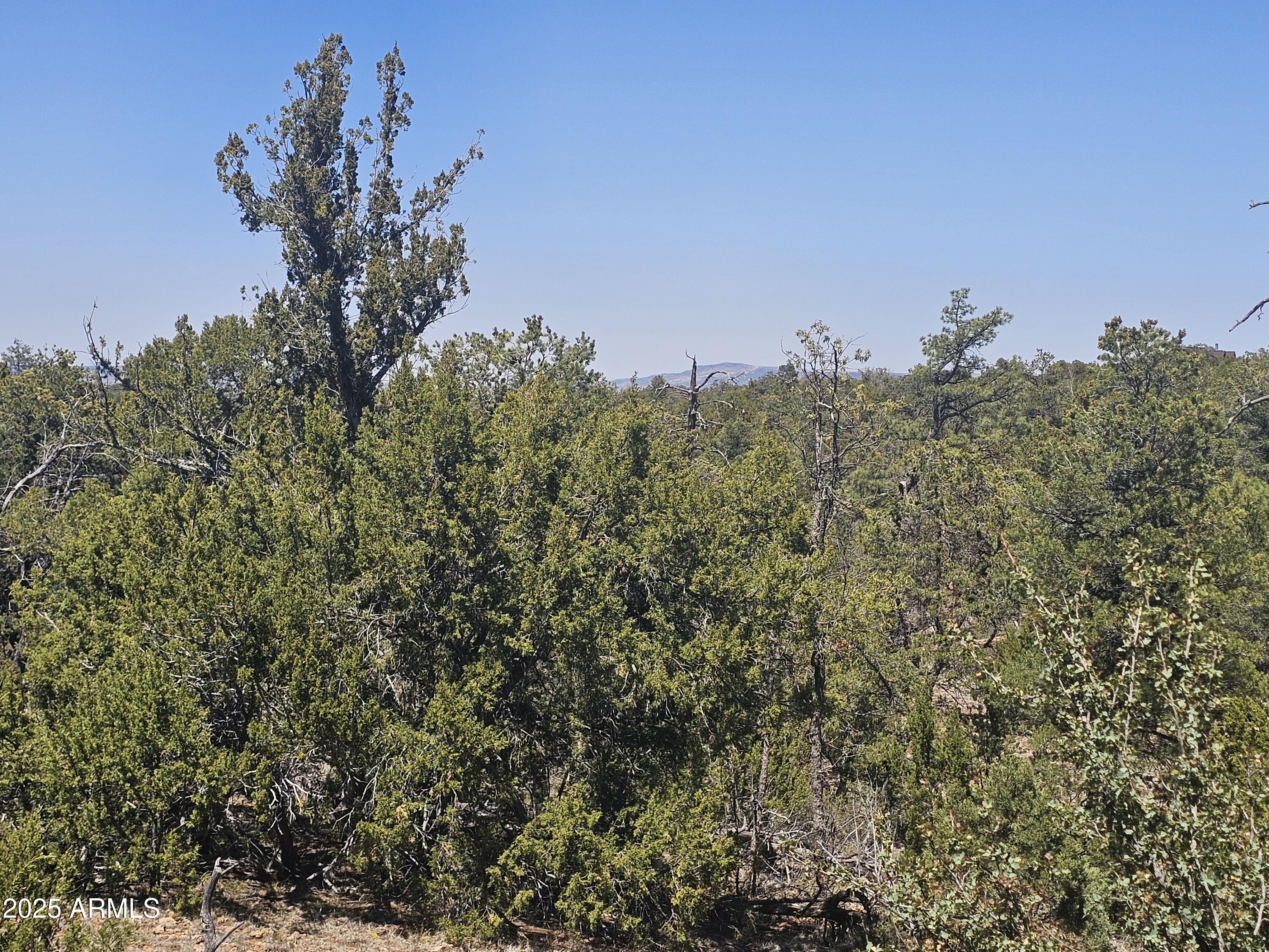 3662 Sunset Ridge Loop, Unit 143 Happy Jack, AZ 86024 - Photo 8 of 8 a view of a house with a street