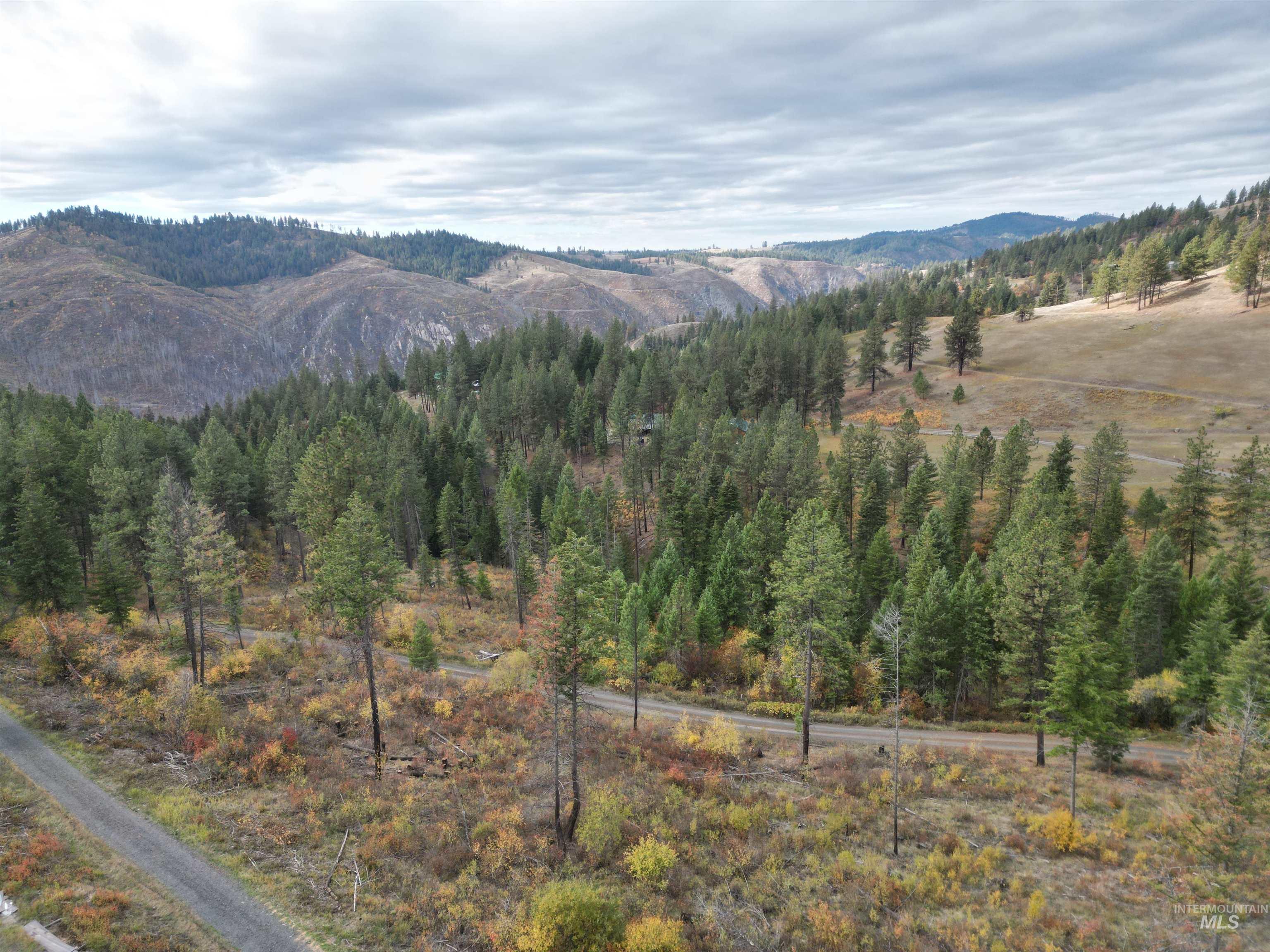 905 Hidden Valley Lane Weippe, ID 83553 - Photo 11 of 30 View of mountain background featuring a heavily wooded area