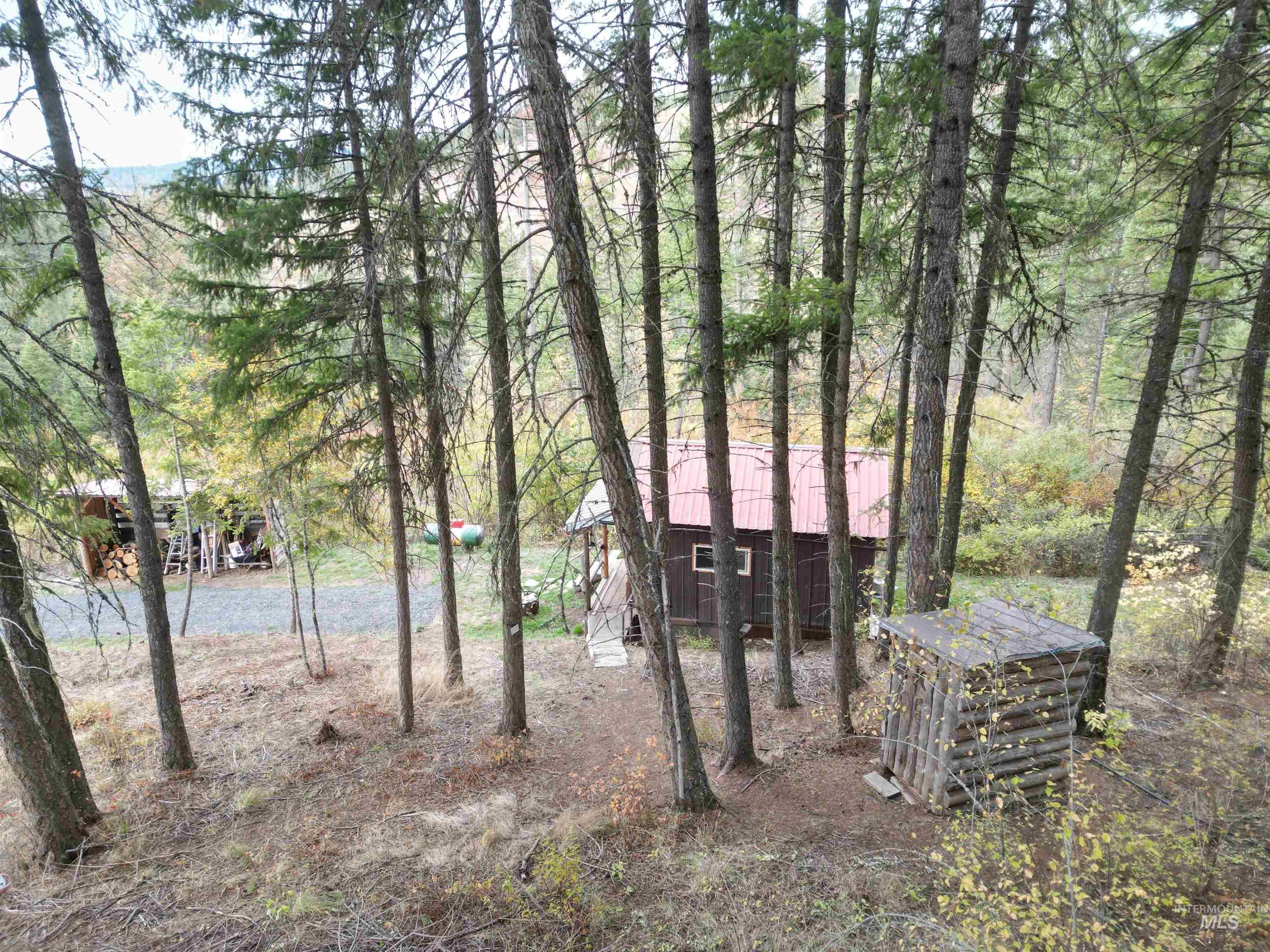 905 Hidden Valley Lane Weippe, ID 83553 - Photo 25 of 30 View of yard featuring an outbuilding