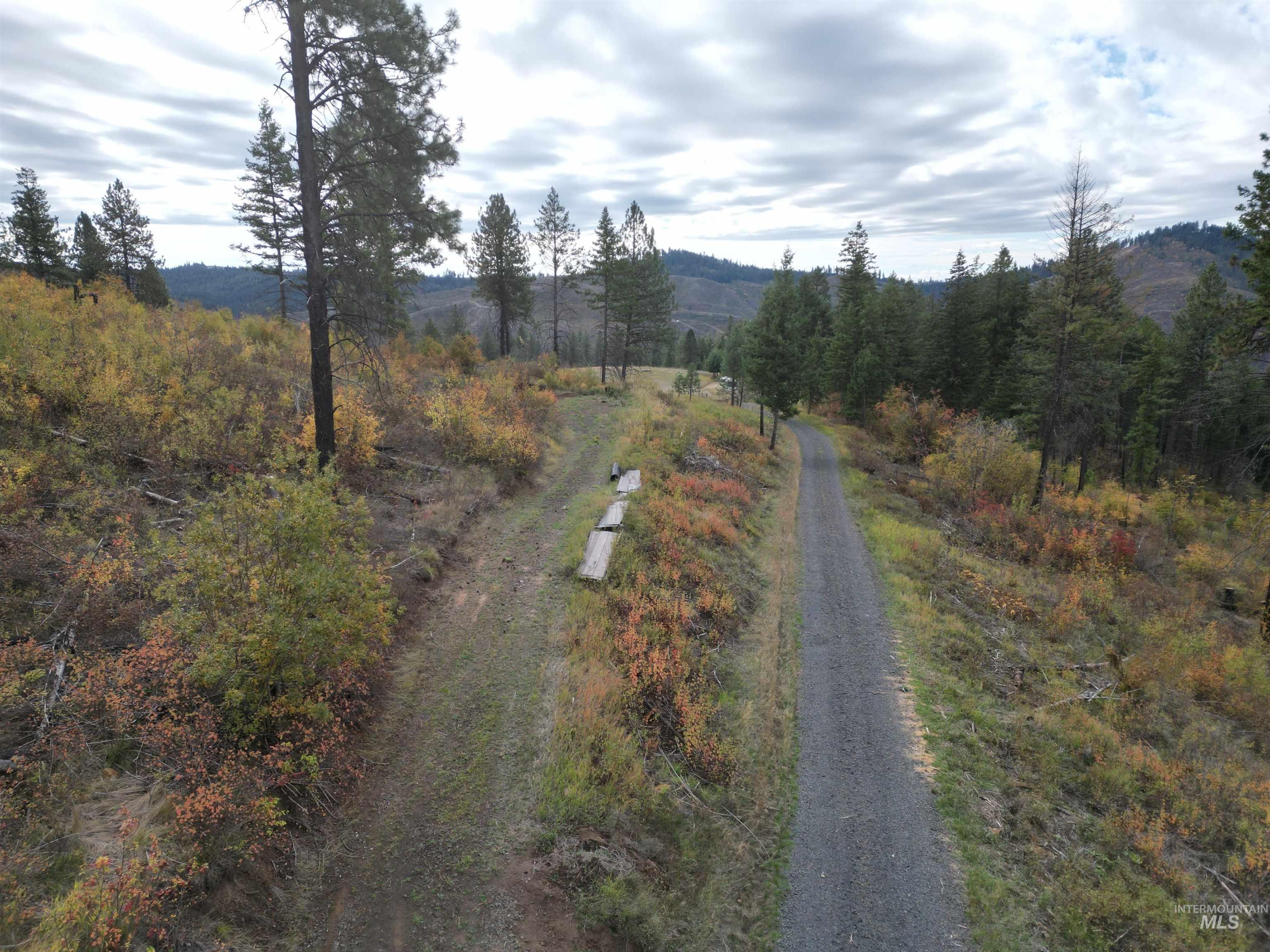 905 Hidden Valley Lane Weippe, ID 83553 - Photo 3 of 30 View of dirt / gravel road with a view of countryside and a mountain view