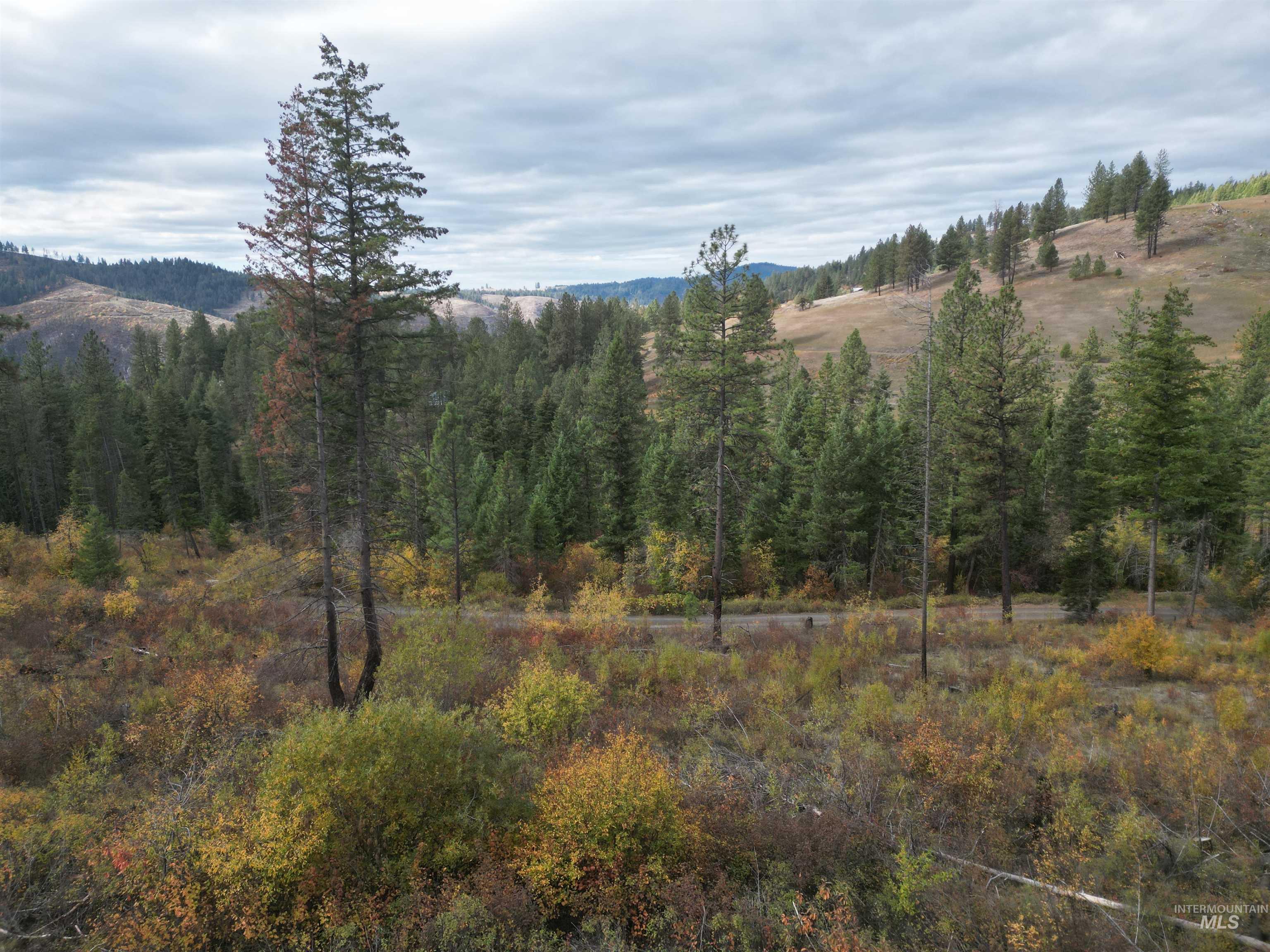 905 Hidden Valley Lane Weippe, ID 83553 - Photo 4 of 30 Mountain view with a heavily wooded area