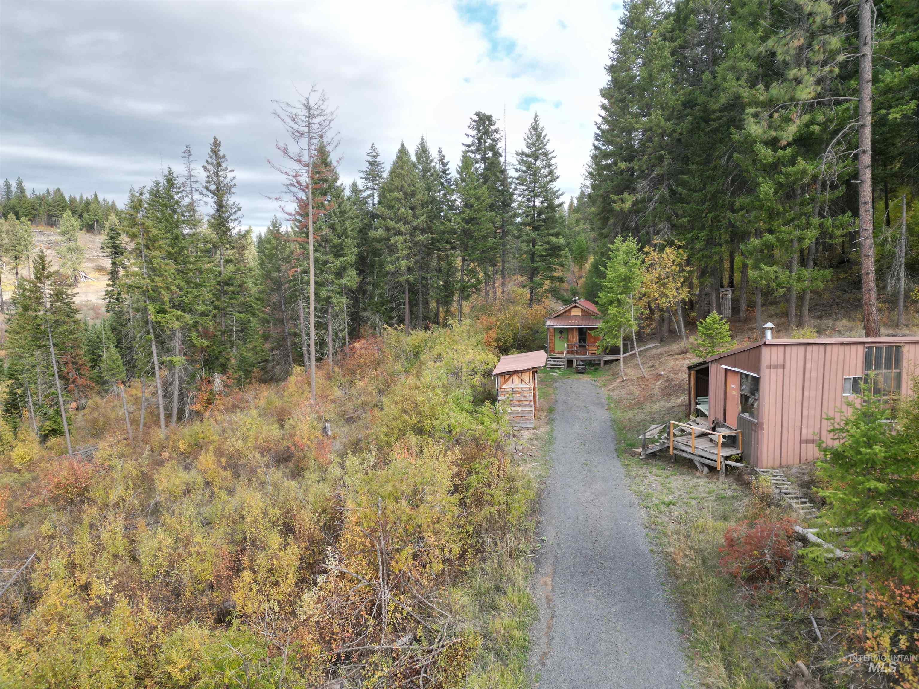 905 Hidden Valley Lane Weippe, ID 83553 - Photo 5 of 30 View of dirt / gravel road featuring a view of trees