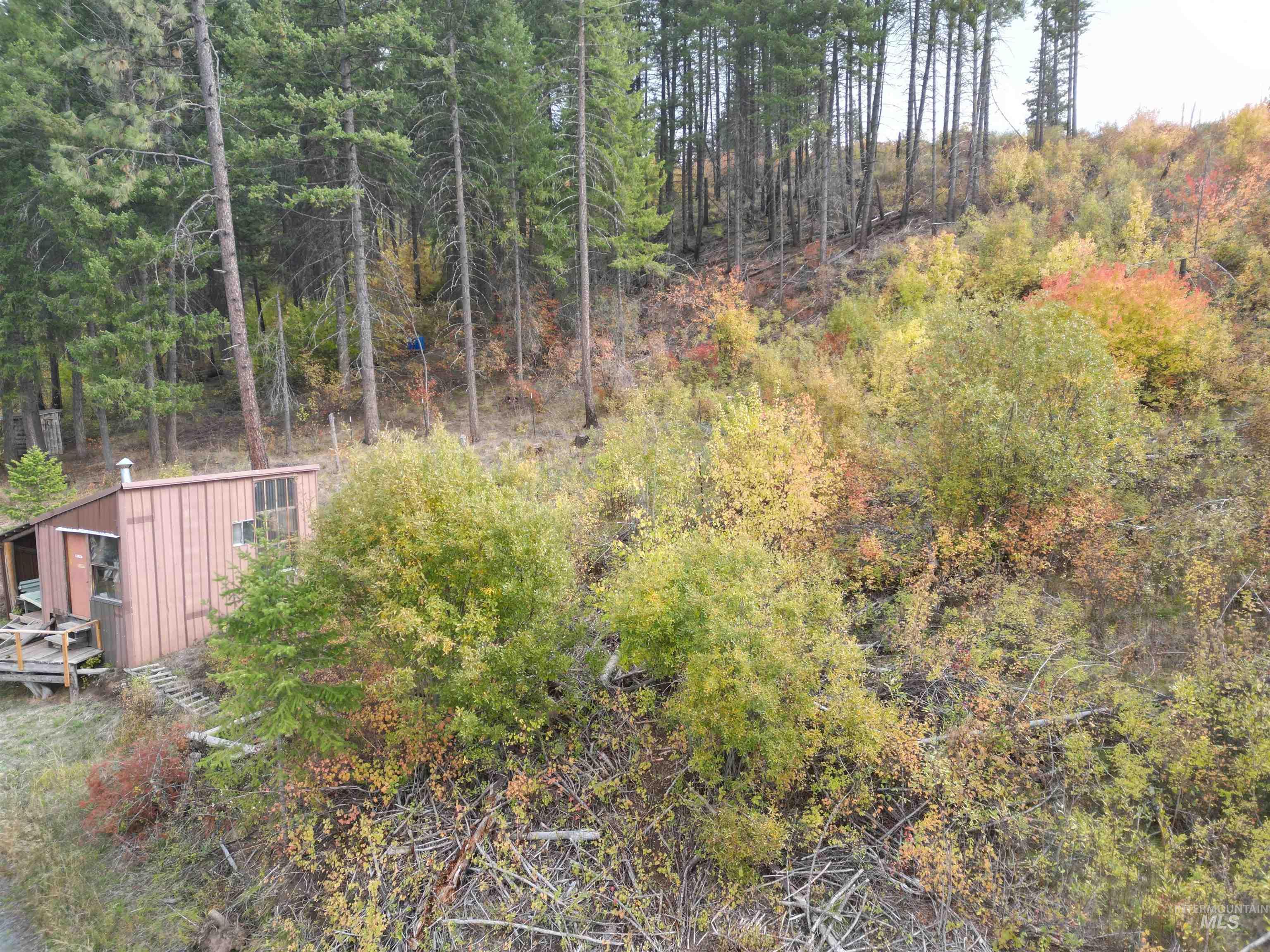 905 Hidden Valley Lane Weippe, ID 83553 - Photo 6 of 30 View of yard with a view of trees
