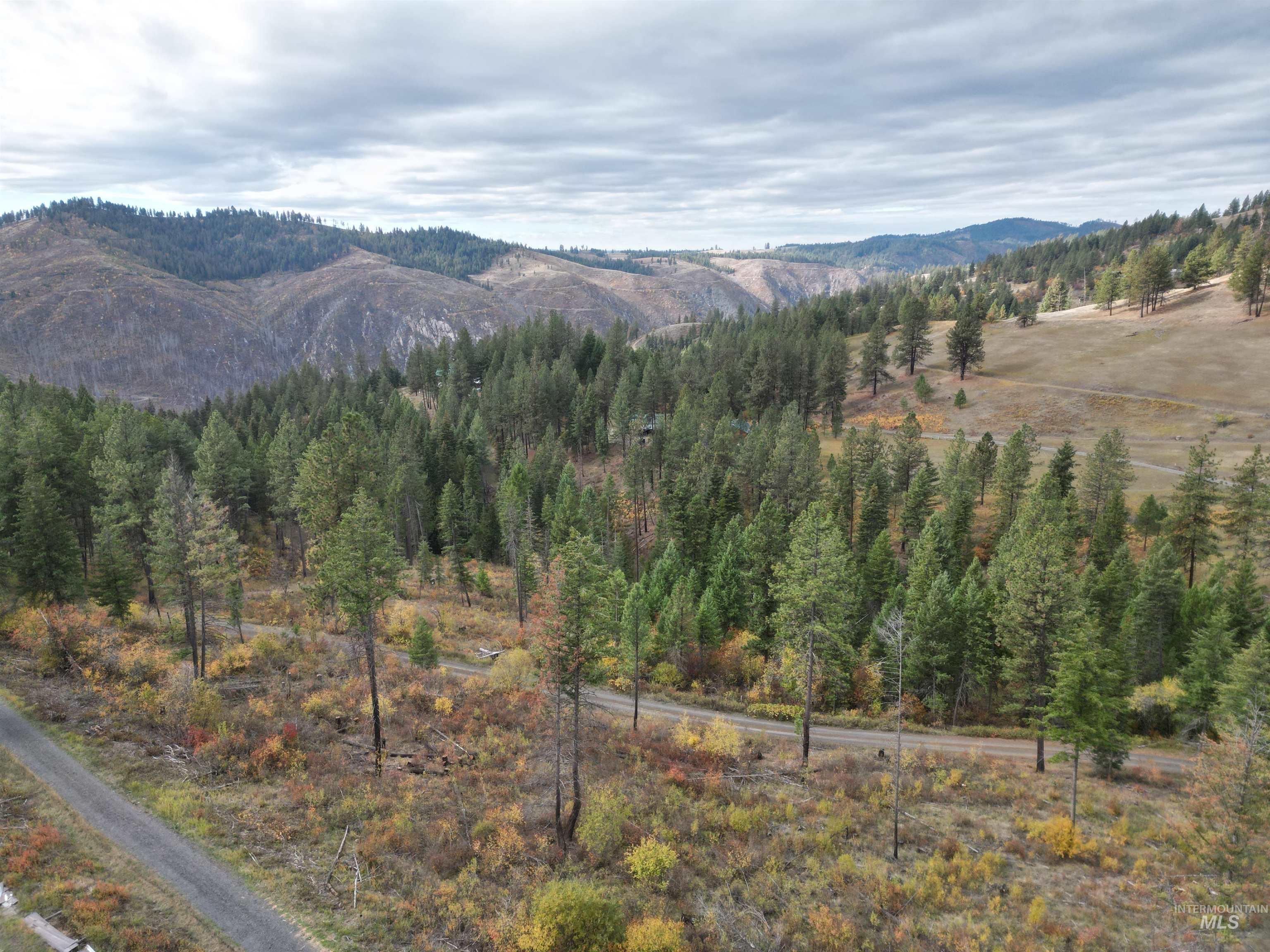 905 Hidden Valley Lane Weippe, ID 83553 - Photo 10 of 30 Mountain view