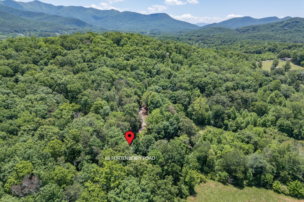 66 Fortenberry Road Young Harris, GA 30582 - Photo 53 of 55 a view of a lush green hillside and a houses