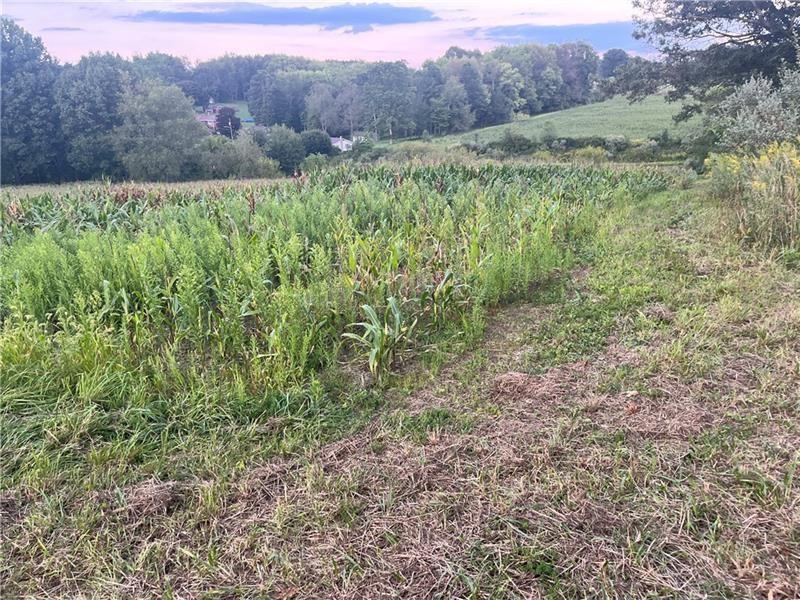 Lot #1 Saxonburg Road Butler, PA 16002 - Photo 4 of 4