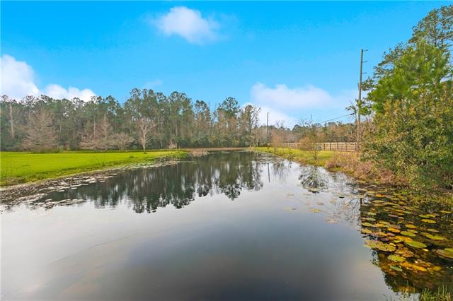 47158 Highway 445 Robert, LA 70455 - Photo 15 of 16