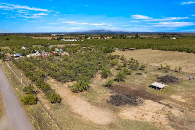 a view of a terrace with a garden