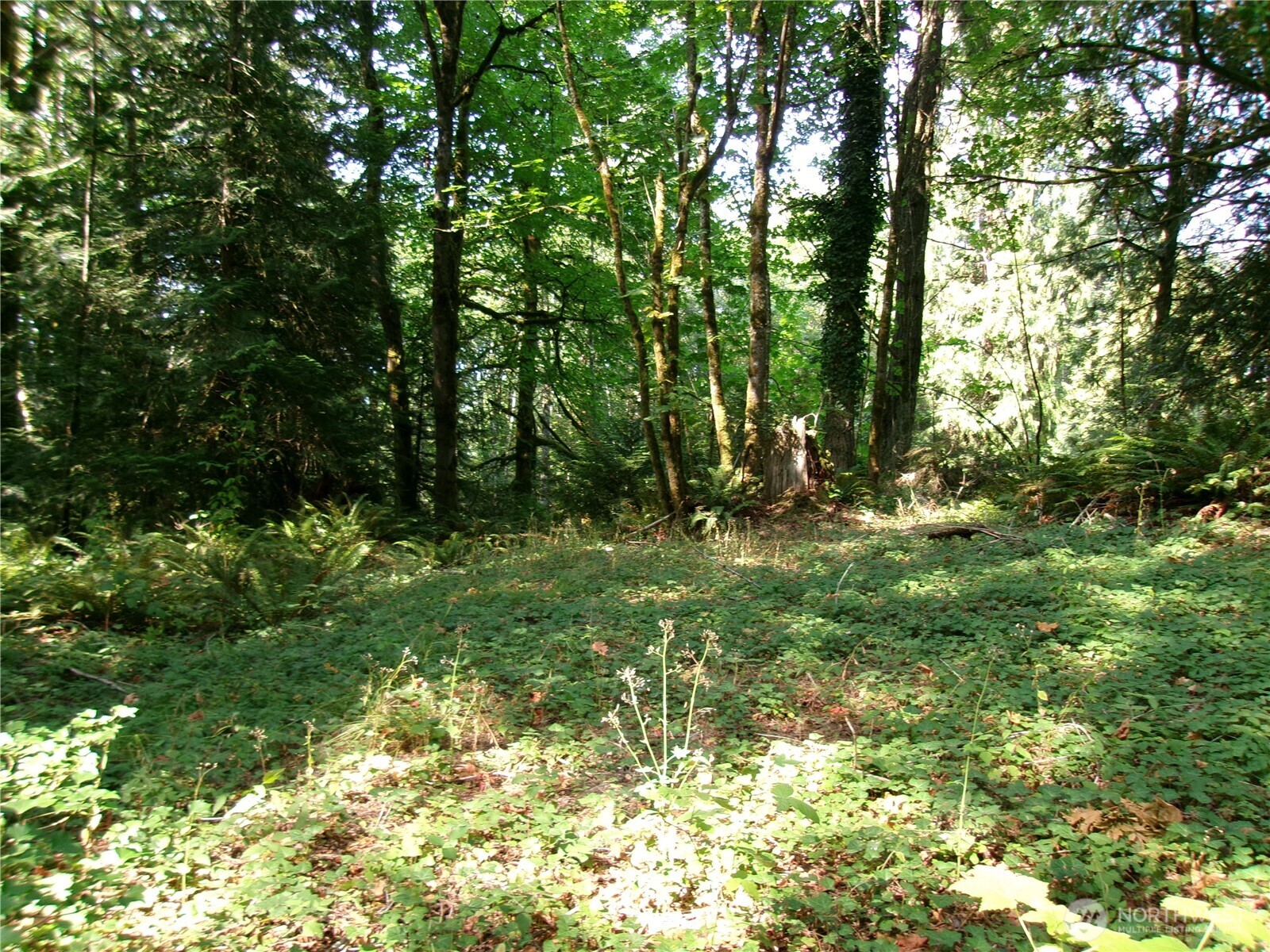 6724 Southeast Sedgwick Road Port Orchard, WA 98366 - Photo 14 of 14 a view of outdoor space and yard