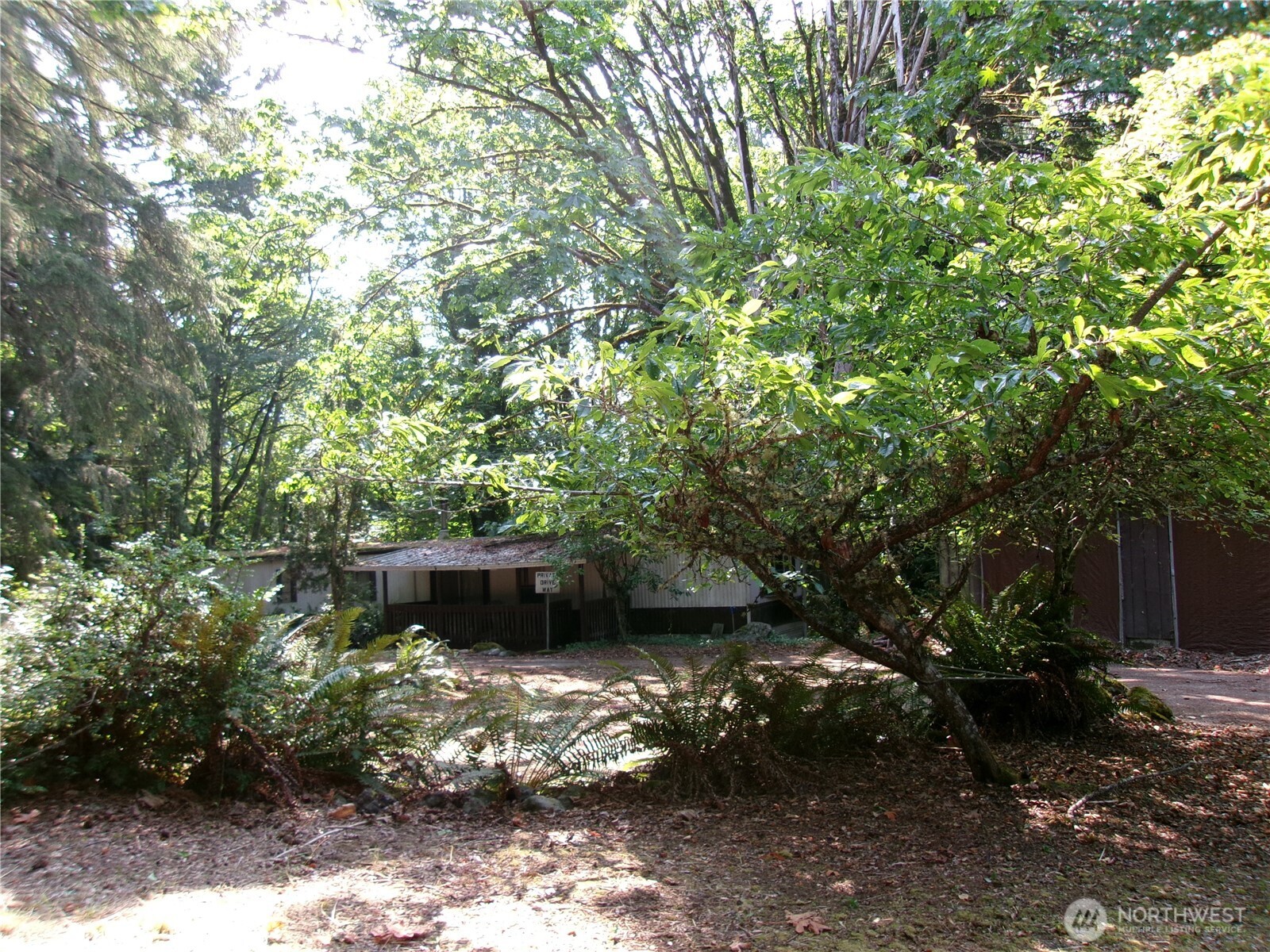 6724 Southeast Sedgwick Road Port Orchard, WA 98366 - Photo 2 of 14 a backyard of a house with lots of green space