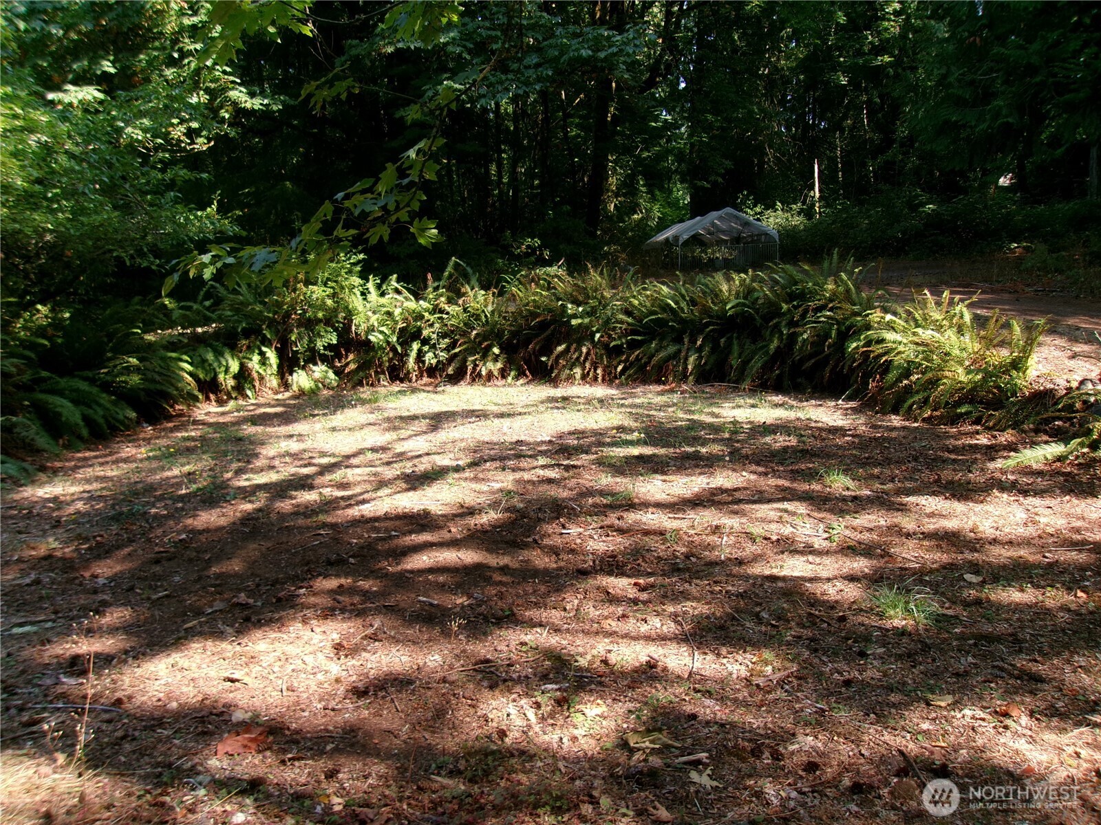 6724 Southeast Sedgwick Road Port Orchard, WA 98366 - Photo 4 of 14 a view of a backyard of a house