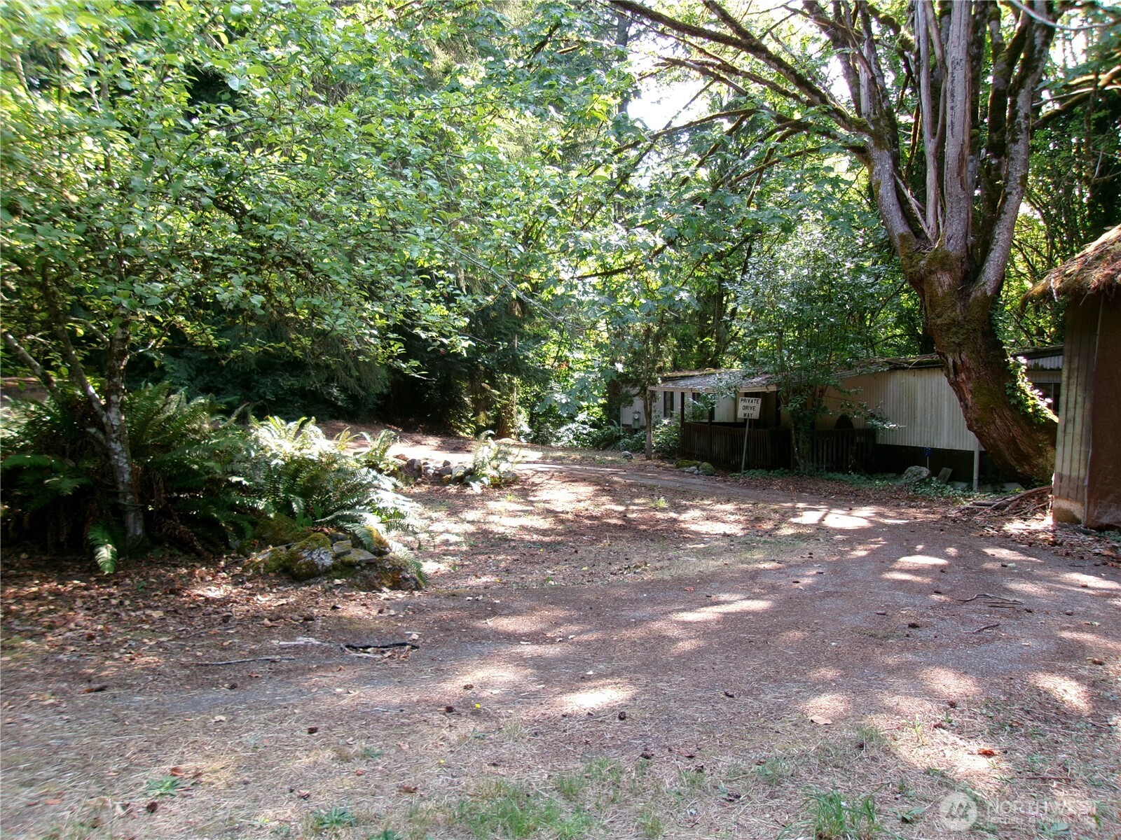 6724 Southeast Sedgwick Road Port Orchard, WA 98366 - Photo 5 of 14 a view of a couches under a large tree
