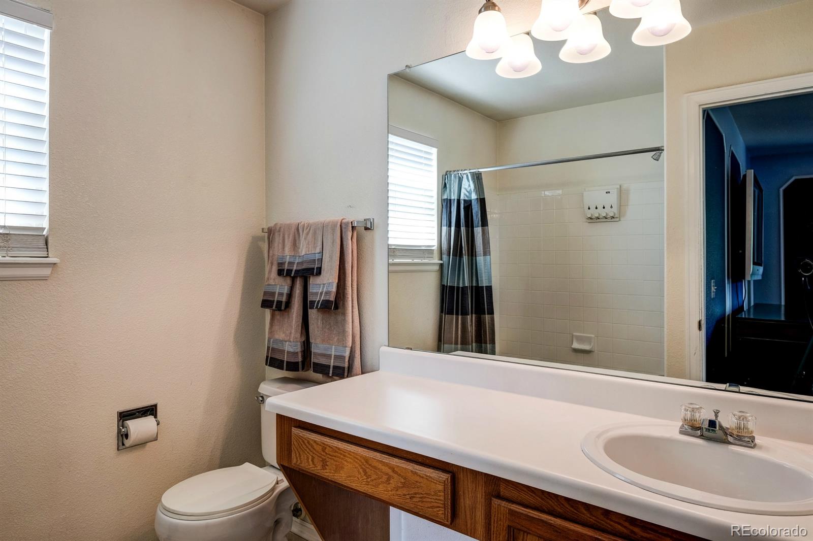 1045 Riddlewood Lane Highlands Ranch, CO 80129 - Photo 21 of 26 a bathroom with a sink a toilet and shower