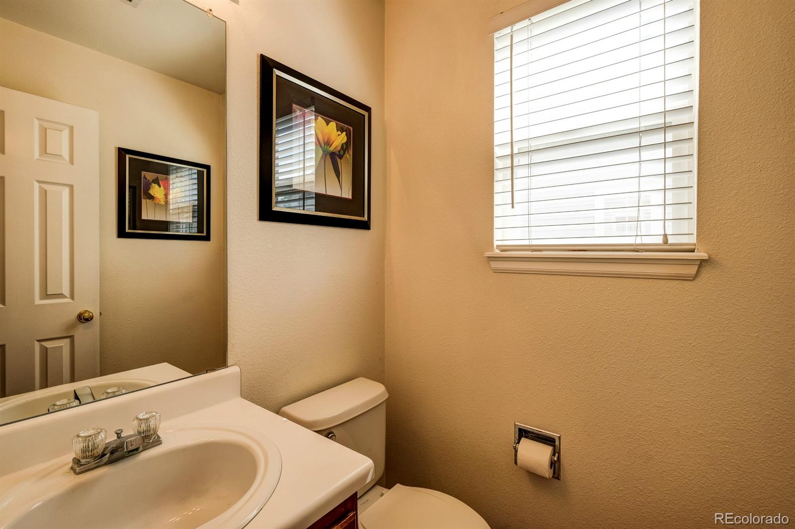 1045 Riddlewood Lane Highlands Ranch, CO 80129 - Photo 24 of 26 a bathroom with a sink mirror and toilet