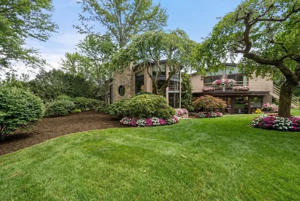 a view of a garden with large trees
