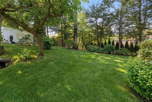 a view of a trees with a yard