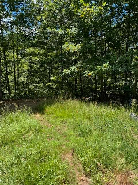 220 Friendship Trail Talking Rock, GA 30175 - Photo 13 of 18 a view of outdoor space and yard